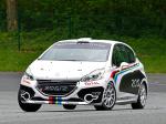 Peugeot 208 R2 Rally Car 2012 года